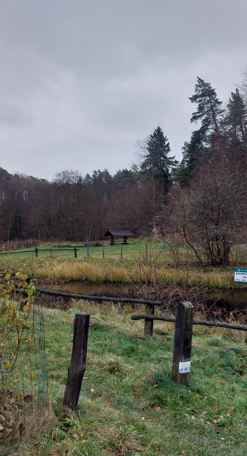 "Płonie ognisko w lesie" - Wejherowo