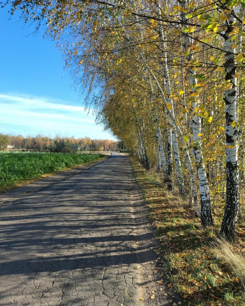 Trasa przez działki i Glinki - Sierpc
