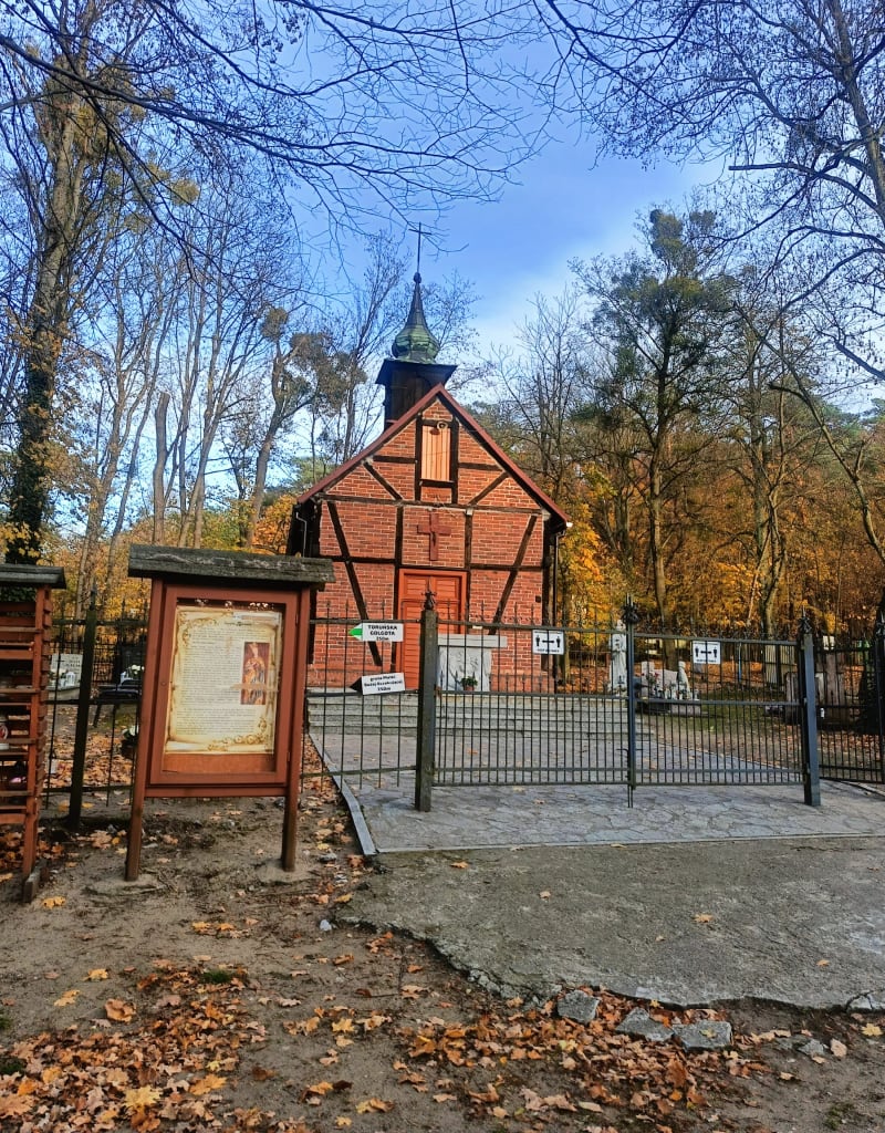 Leśna ścieżka nr.1 na Barbarce - Toruń