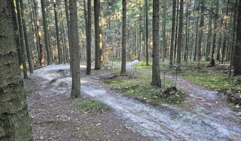 Singletracki enduro - Skarżysko-Kamienna
