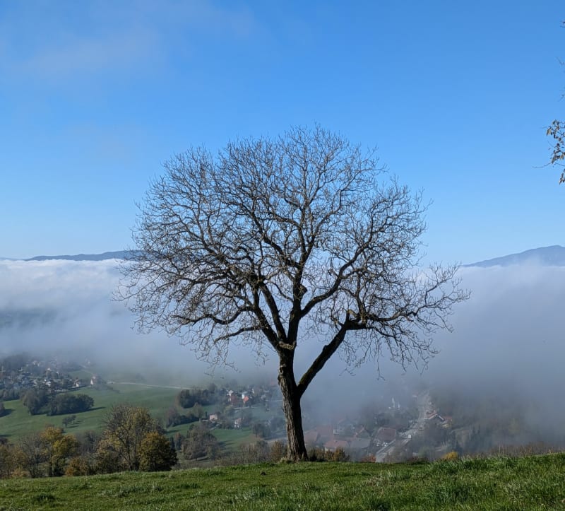 Saint-Blaise à l'Abergement - Saint-Blaise