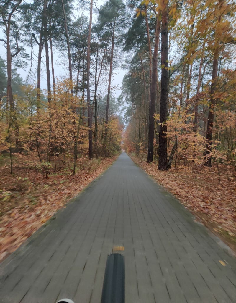 Ścieżka rowerową na plażę w Zbąszyniu - Zbąszynek