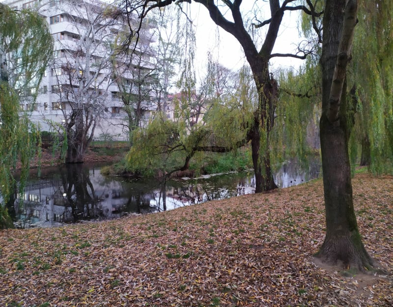 Spacer po Parku Sieleckim i okolicach - Warszawa