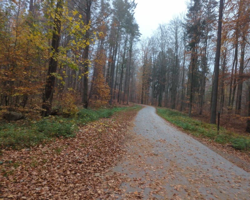 Dolina Radości od zoo do Słowackiego - Gdańsk