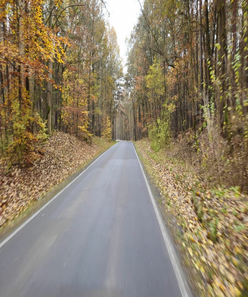 Pętla Knurów-Pilchowice - Knurów