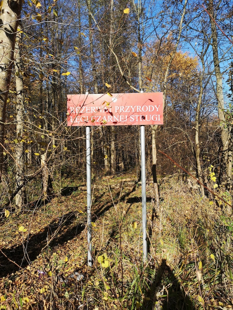 2 rezerwaty - Łęgi Czarnej Strugi i Puszcza Słupecka - Marki