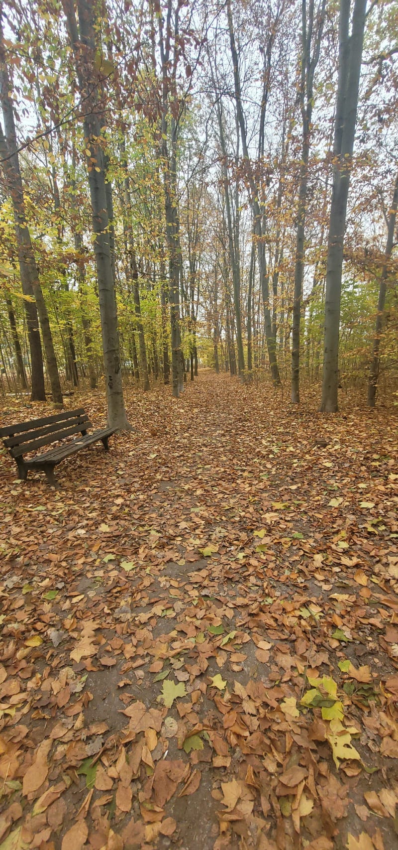 Park Świetlików i okolice - Wrocław