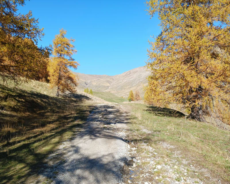 Tête de la Sestriere - Allos