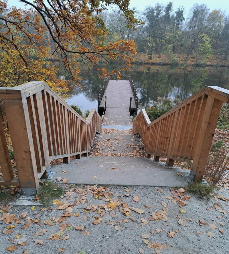 Staw Browarny - Poznań