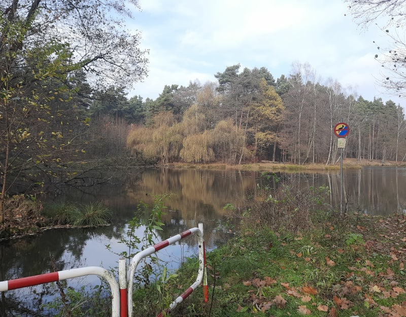 Leśny spacer do Kamienia - Rybnik