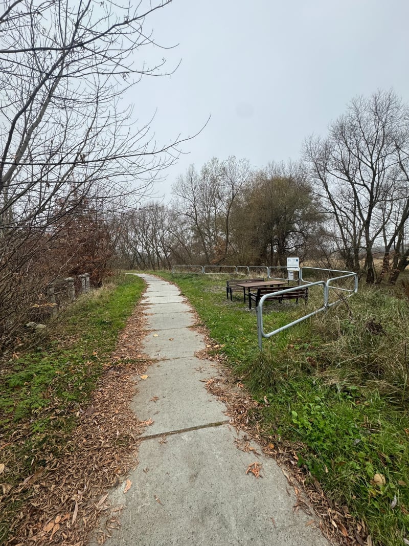 Trasa widokowa wzdłuż rzeki Bystrzyca w m. Łysaków - Turka