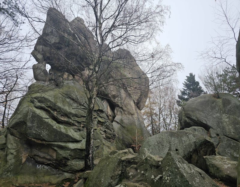 Odrzykoń zamek - Prządki - Sucha Góra - Kiczara - Królewska - Korczyna