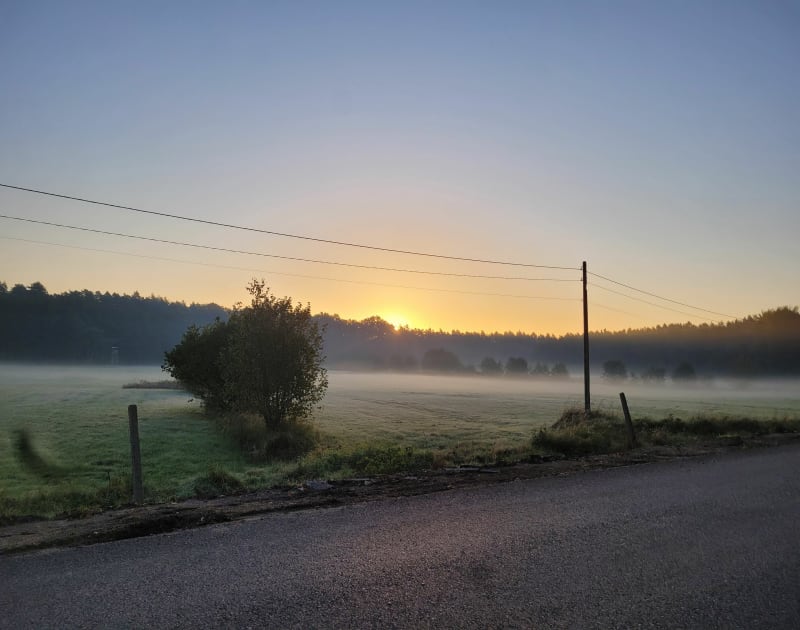 Spacer po lasach kobiorskich - Gostyń