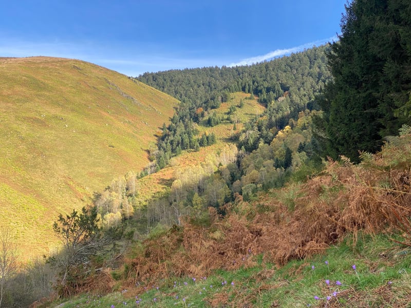 Cap des Bentails - Vier-Bordes