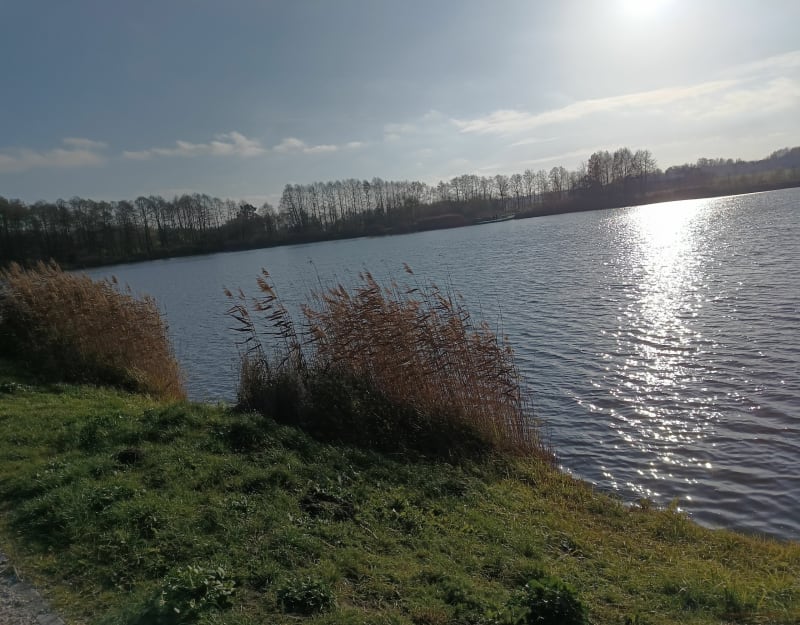 Droga nad stawy w Bedoniu - Łódź