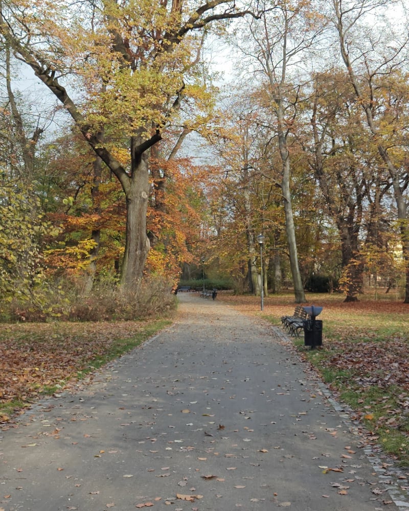 Spacer po parku poludniowyn - Wrocław