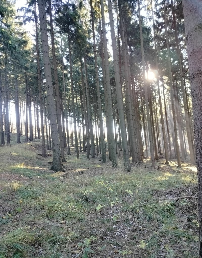 Wędrówka po górach Suchych - Kowalowa