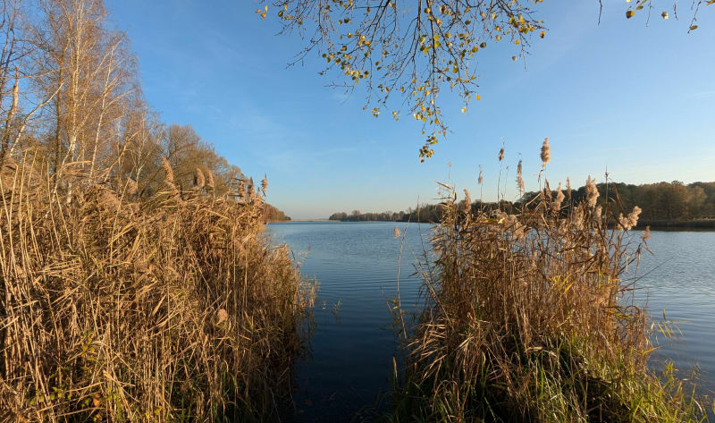 Pętla wokół zbiornika Pniowiec w Rybniku - Rybnik