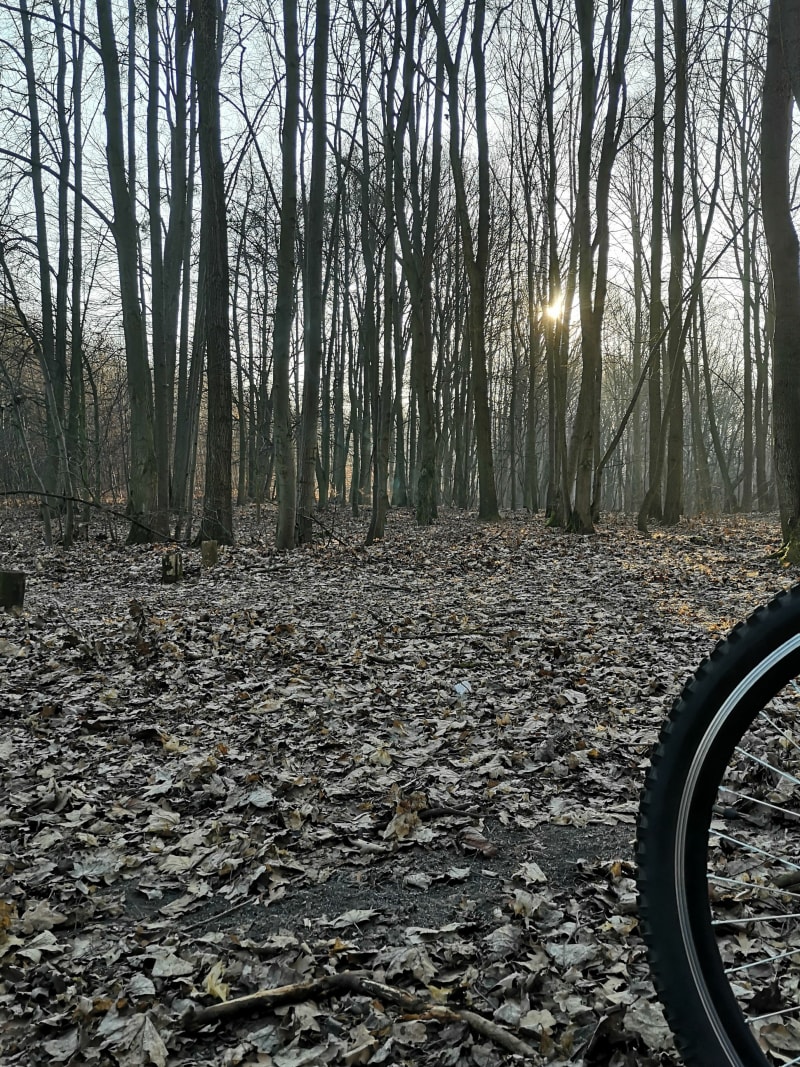 Od parku Wodziczki, przez park Sołacki, do Rusałki - Poznań