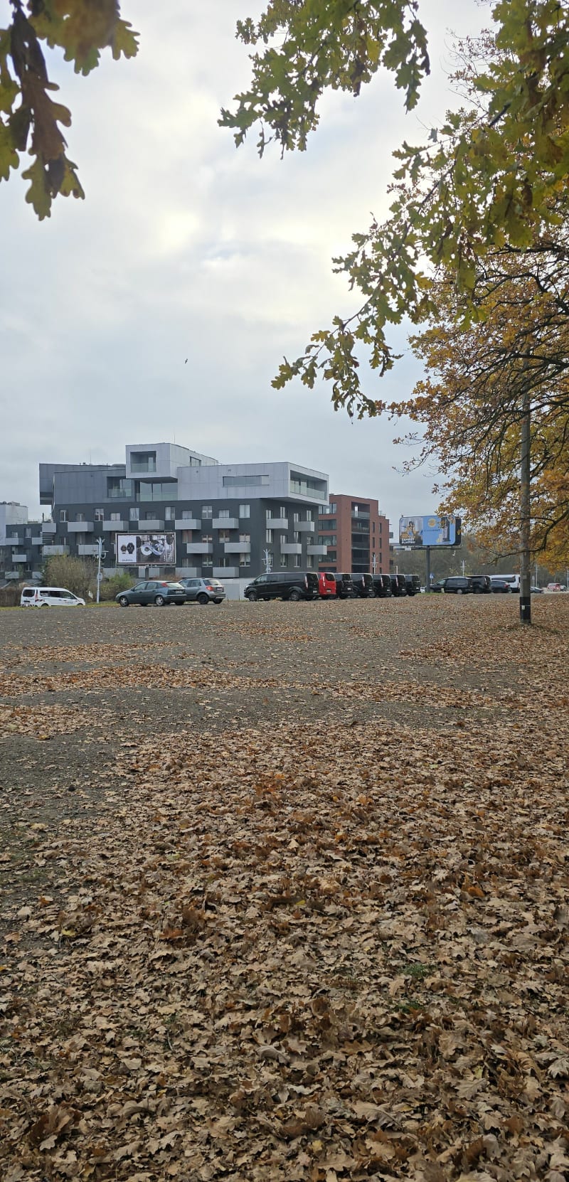 Katowice, Park Śląski, leśne ścieżki - Katowice