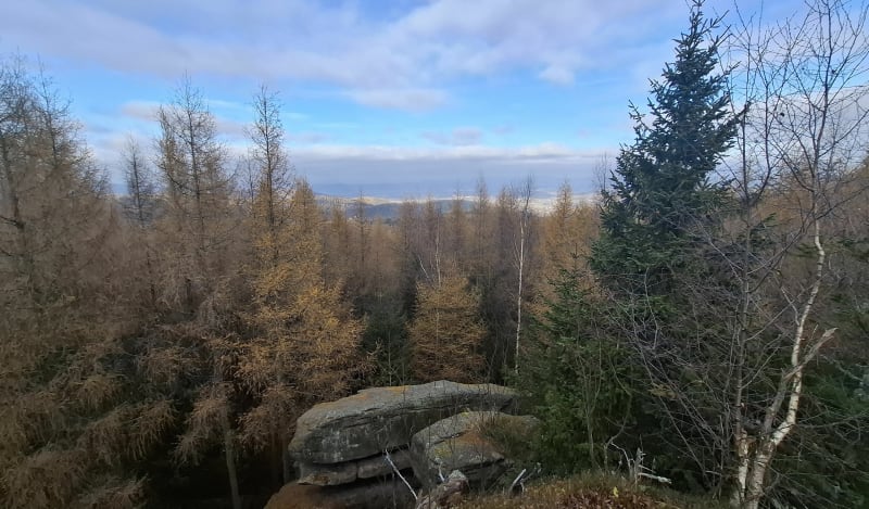 Skałki Nad Przesieką - Zachełmie