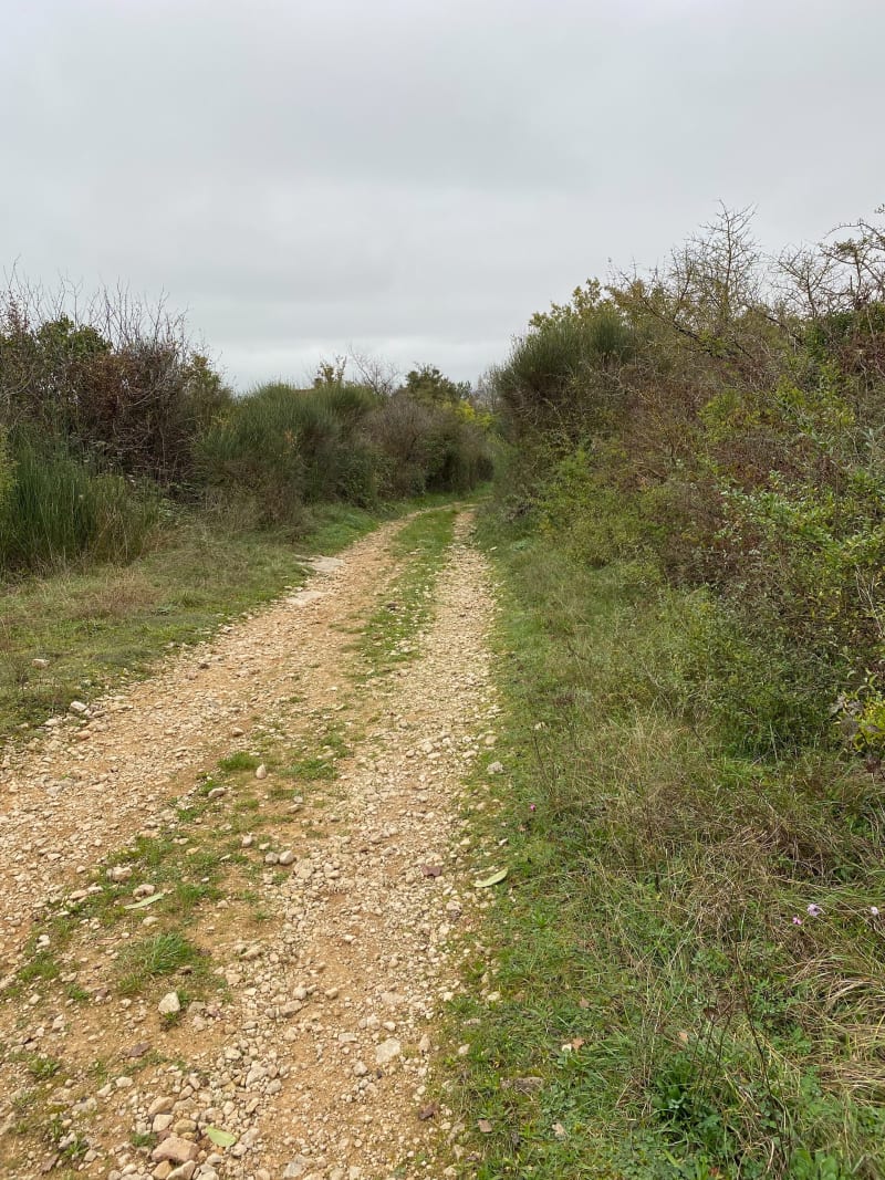 Balade en Gravel autour de Laives - Saint-Cyr