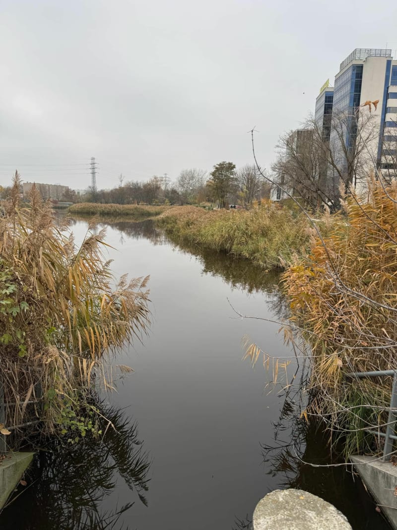 Spacer wzdłuż Potoku Służewieckiego - Warszawa