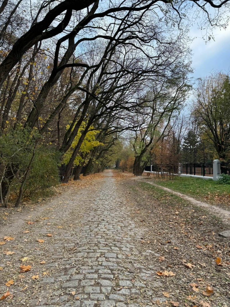 Spacer w okolicy Lasu Natolińskiego i Parku przy Bażantarni - Warszawa