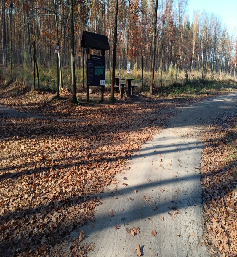 Trasa kroczymiech - Libiąż