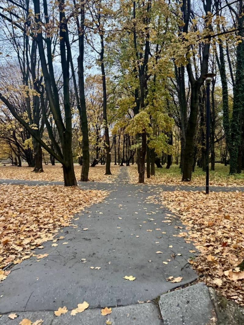 Piesza wycieczka po Polu Mokotowskim - Warszawa