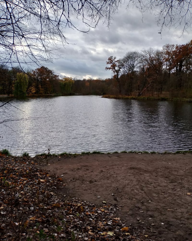 Lasek Dębiński - Poznań