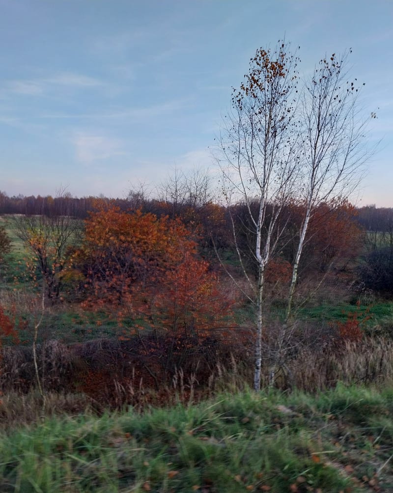 Pętla nad Przemsza i Wawolnica - Jaworzno