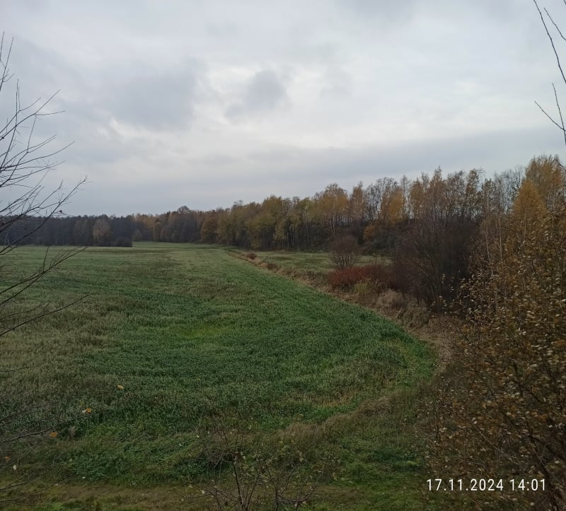 Kierunek Wilcza - Gliwice