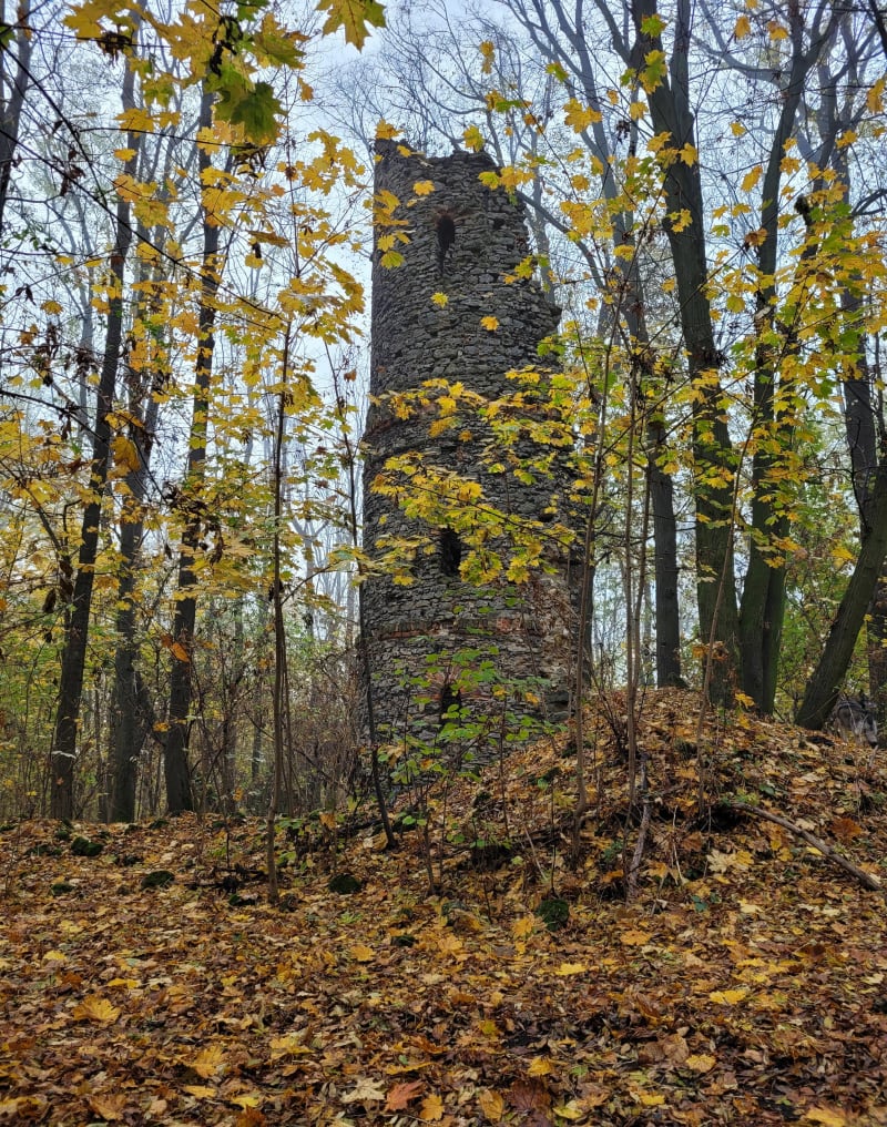 Romantyczne ruiny w Orzechu - Świerklaniec