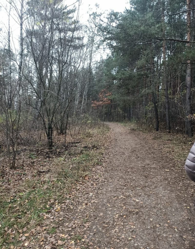 Wycieczka do lasu uroczysko Lublinek. - Łódź