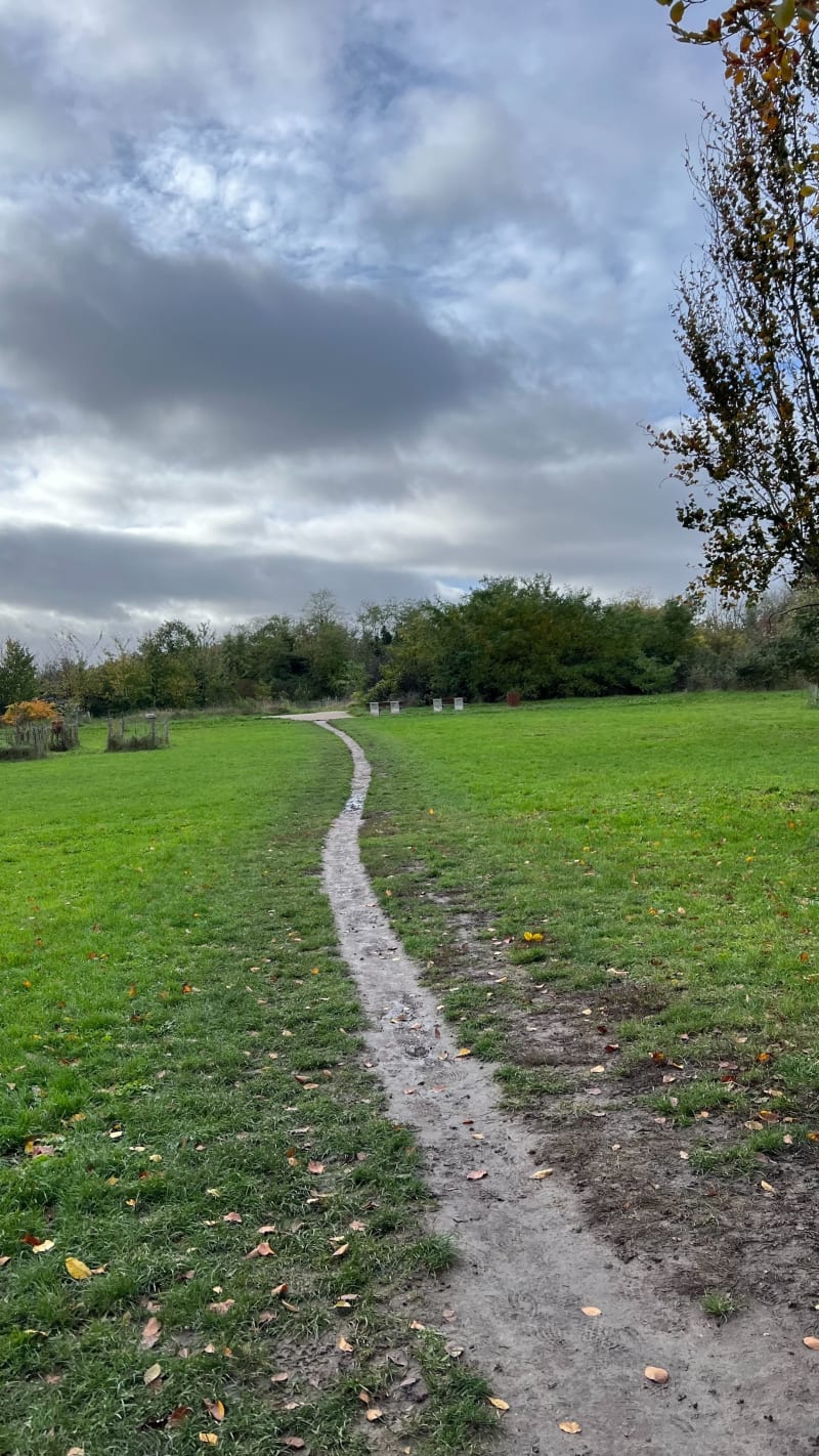 Marche nordique à Montreuil - Montreuil