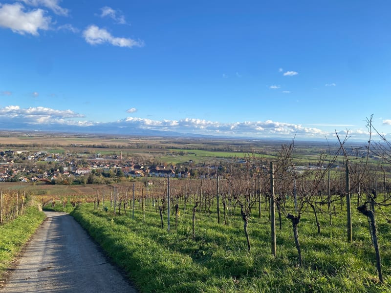 Le col de Neuland - Rouffach