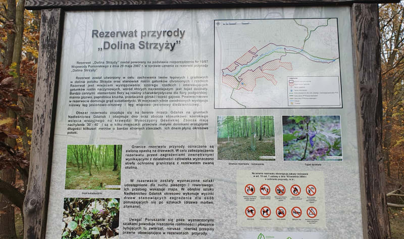 Dolina strzyży - Gdańsk
