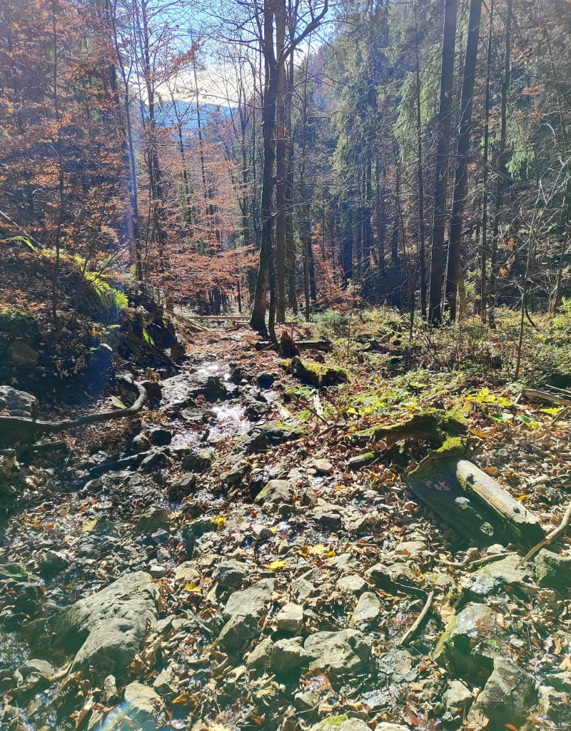 Zajemarska roklina - Mlynky