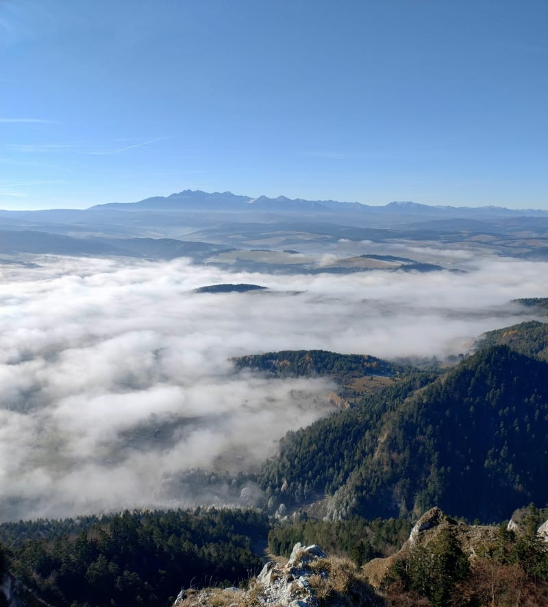Krościenko nad Dunajcem - Trzy Korony - Sokolica - Krościenko nad Dunajcem