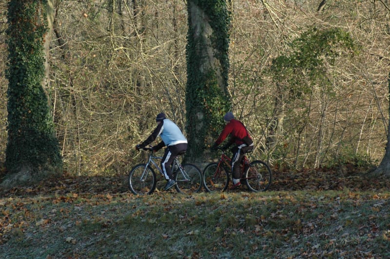 Bourgtheroulde-Infreville - Grand Bourgtheroulde