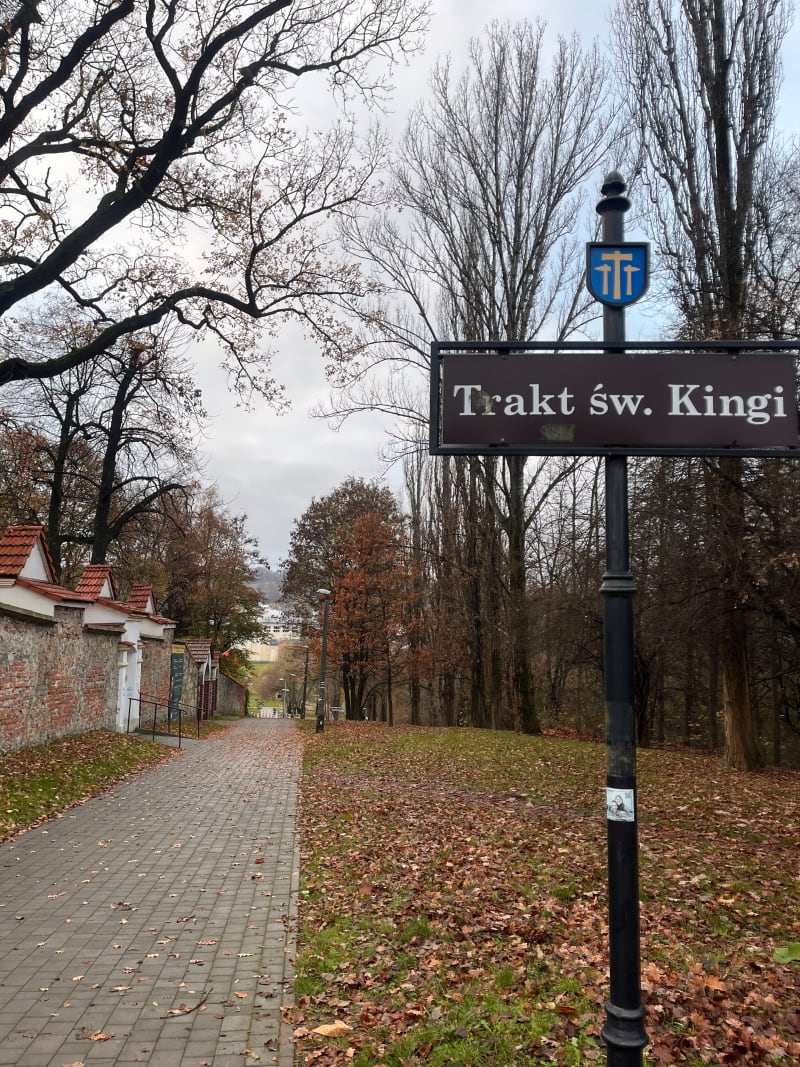 Krótki spacer po Wieliczce - Wieliczka