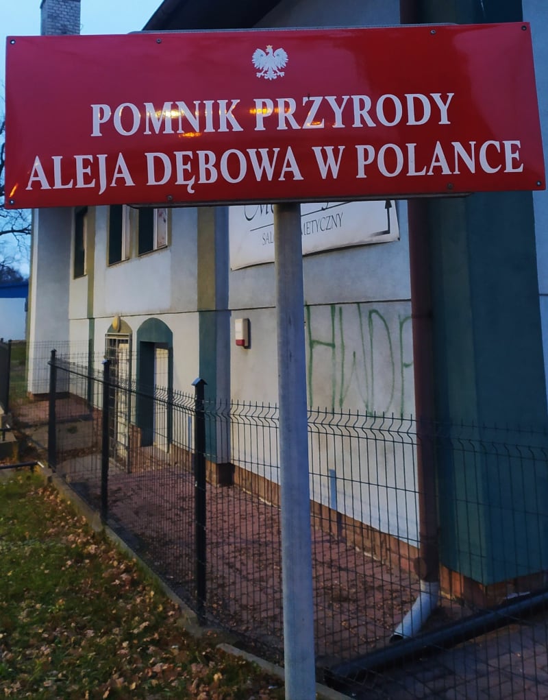 Spacer aleją dębową w Polance - Krosno