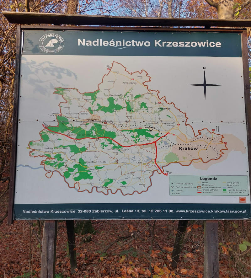 Puszcza Dulowska: Białka - Leśniczówka - Wola Filipowska