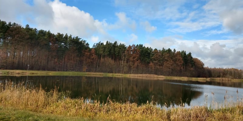 Zbiornik i las Wymysłówek - Radomsko