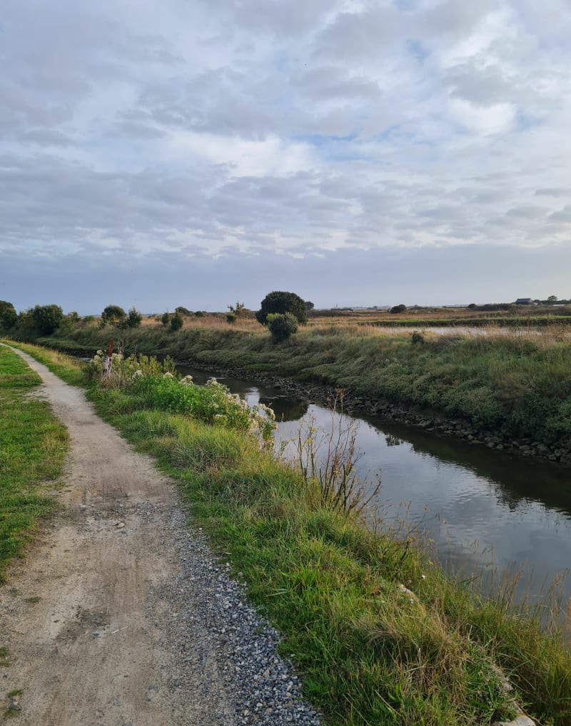 Tour La Turbale, marais Salan... - La Turballe