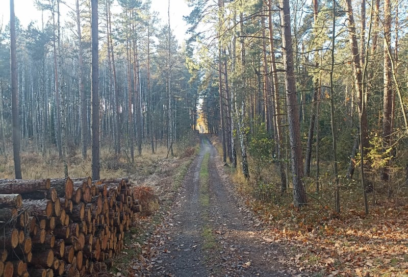 Gravel top - Chrzanów