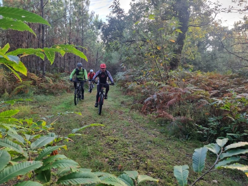 Randonnée VTT Montlieu-la-Garde => Clérac - Montlieu-la-Garde