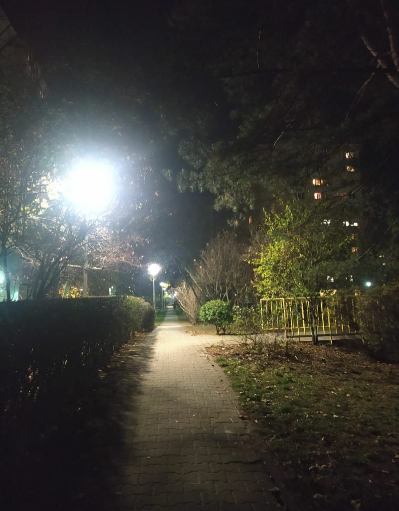 Spacer po Stegnach południowych (staw, park) - Warszawa