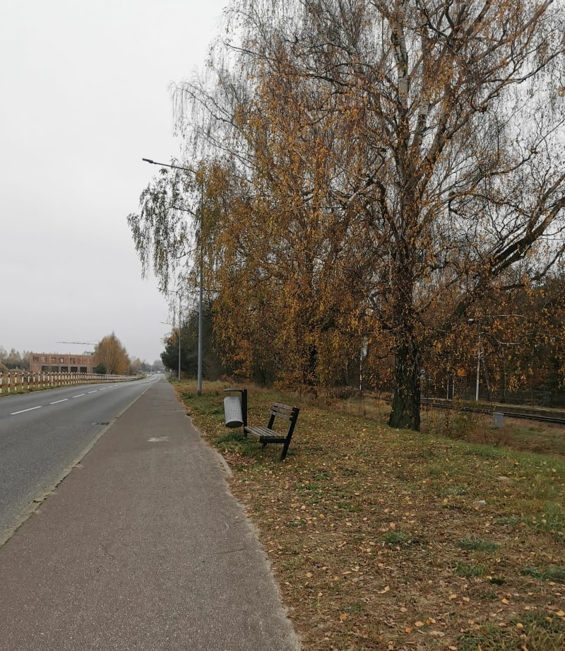 Spacer aleją Solidarności, Wieruszów - Wieruszów